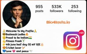 Badmashi Bio For Instagram