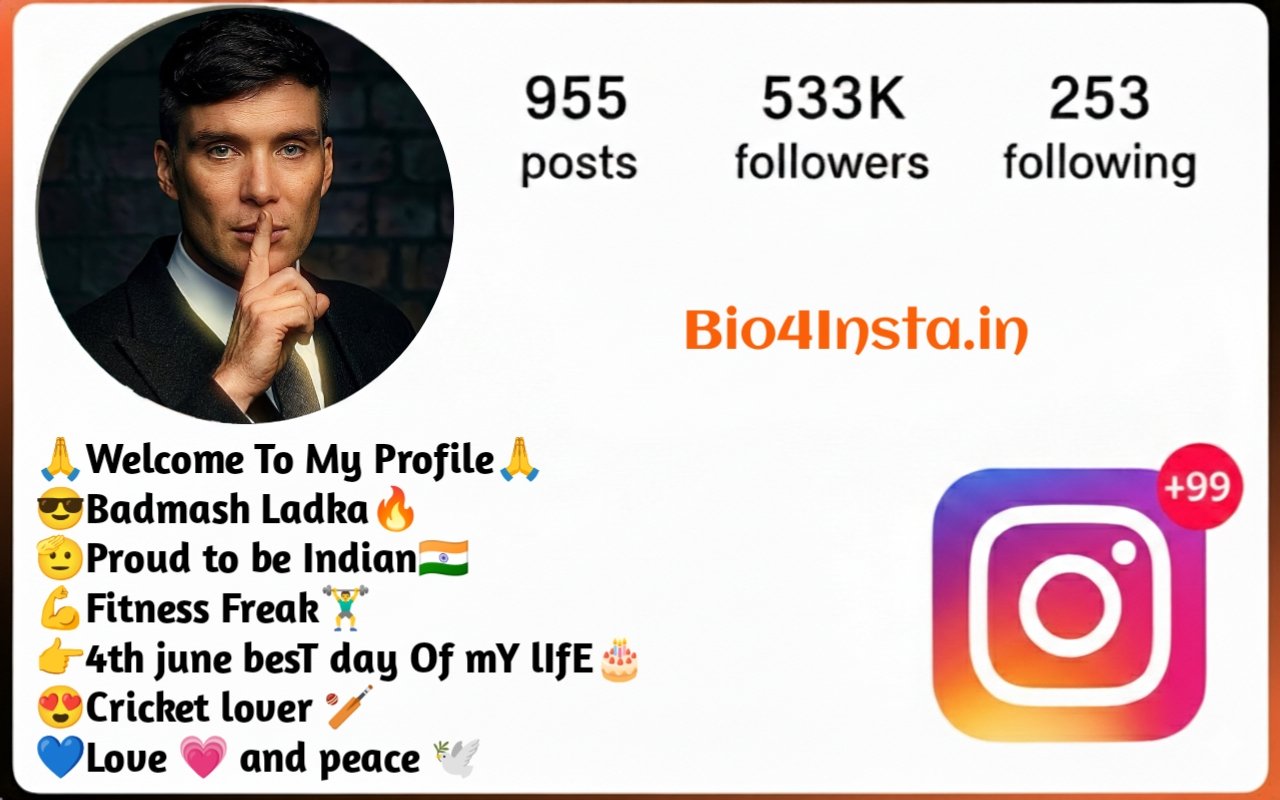 Badmashi Bio For Instagram